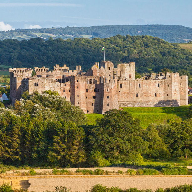 Raglan Castle Guidebook